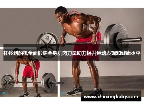 杠铃划船机全面锻炼全身肌肉力量助力提升运动表现和健康水平