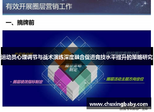 运动员心理调节与战术演练深度融合促进竞技水平提升的策略研究