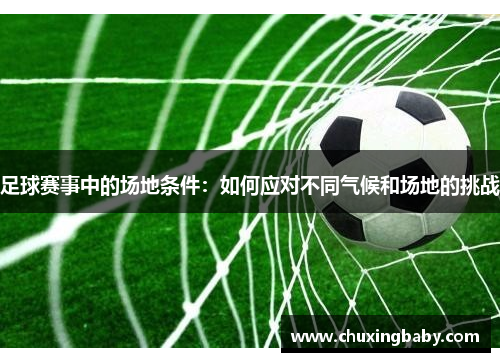 足球赛事中的场地条件：如何应对不同气候和场地的挑战
