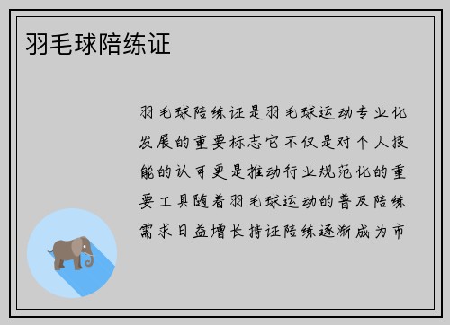羽毛球陪练证